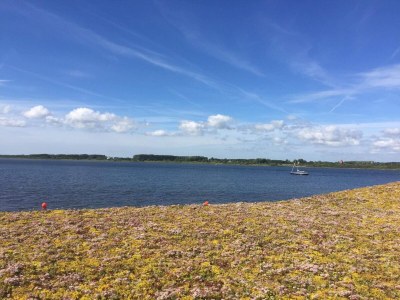 Holiday house 4 Sterne Ferienhaus in Aalborg - Outdoor photo 27