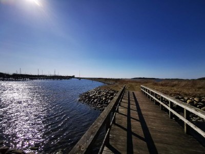 Holiday house 4 Sterne Ferienhaus in Aalborg - Outdoor photo 29