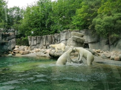 Holiday house 4 Sterne Ferienhaus in Aalborg - Outdoor photo 36