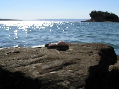 House boat Apartment in Supetarska Draga by the Beach - Environment photo 11