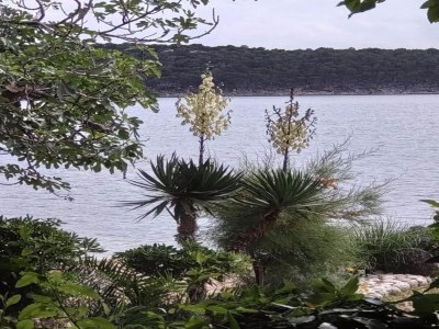 House boat Apartment in Supetarska Draga by the Beach - Environment photo 23