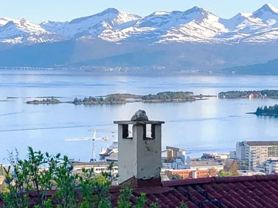 Apartment 7 Personen Ferienhaus in Molde - Outdoor photo 10