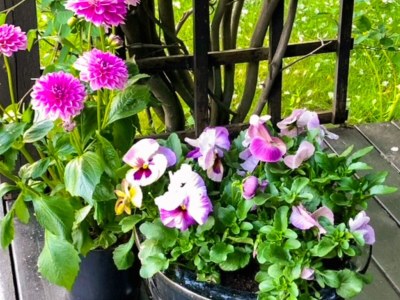 Apartment 7 Personen Ferienhaus in Molde - Outdoor photo 69