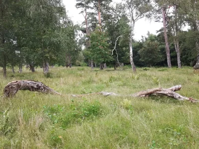 Holiday house 6 person holiday home in Idestrup - Outdoor photo 33