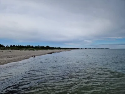 Holiday house 6 person holiday home in Idestrup - Outdoor photo 36