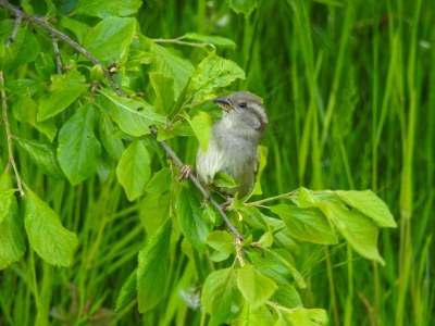 Holiday house 5 star holiday home in Køge - Outdoor photo 6