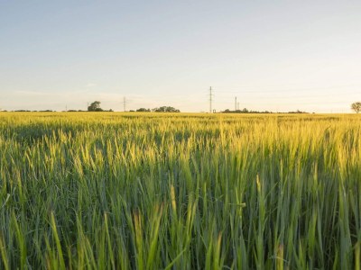 Holiday house 5 star holiday home in Køge - Outdoor photo 23