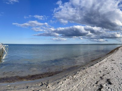 Holiday house 5 star holiday home in Køge - Outdoor photo 39