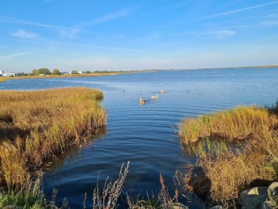 Holiday house 5 star holiday home in Køge - Outdoor photo 40