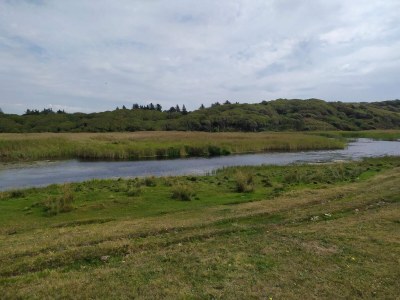 Holiday house 4 Sterne Ferienhaus in Spøttrup - Outdoor photo 14