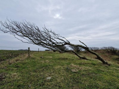 Holiday house 4 Sterne Ferienhaus in Spøttrup - Outdoor photo 30