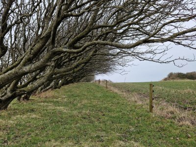 Holiday house 4 Sterne Ferienhaus in Spøttrup - Outdoor photo 31