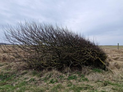 Holiday house 4 Sterne Ferienhaus in Spøttrup - Outdoor photo 32