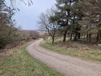 Holiday house 4 Sterne Ferienhaus in Spøttrup - Outdoor photo 33