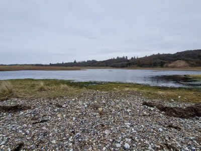 Holiday house 4 Sterne Ferienhaus in Spøttrup - Outdoor photo 38