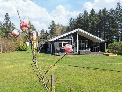 Holiday house 6 person holiday home in Sæby - Outdoor photo 15