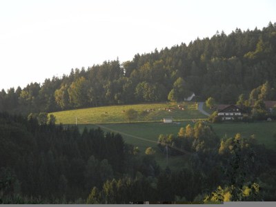 Holiday apartment Gawlik - Environment photo 13