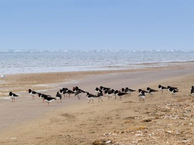 Holiday house 4 star holiday home in Fanø - Outdoor photo 8