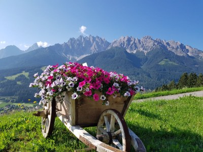 Farmhouse Kuentnerhof - Outdoor photo 11