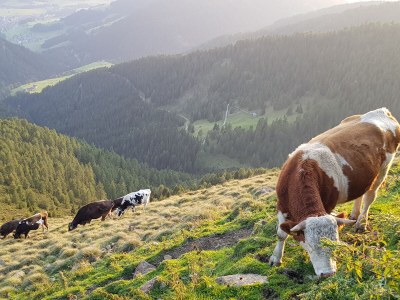 Farmhouse Kuentnerhof - Outdoor photo 18