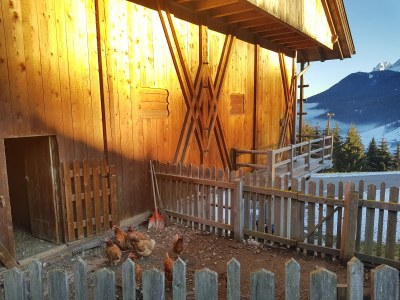 Farmhouse Kuentnerhof - Outdoor photo 24