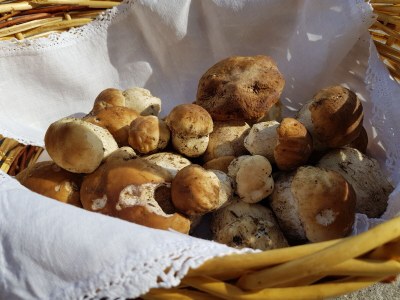 Farmhouse Kuentnerhof - Environment photo 45