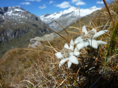 Holiday apartment Bracket - Environment photo 29