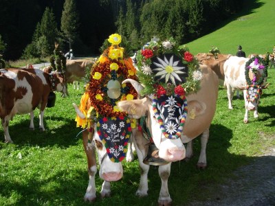 Holiday apartment Bracket - Environment photo 30