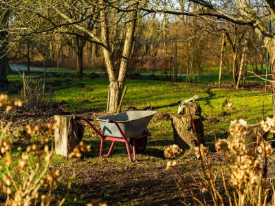 Holiday house Manor Lakeside Escape - Outdoor photo 6