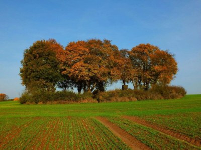 Holiday house Manor Lakeside Escape - Environment photo 17