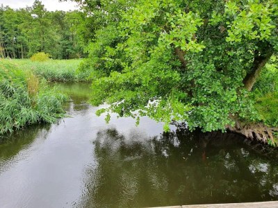 Holiday house Manor Lakeside Escape - Environment photo 20