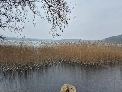 Holiday house Manor Lakeside Escape - Environment photo 22