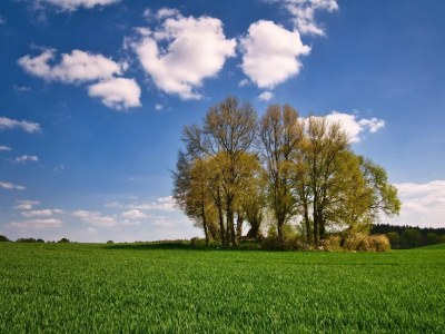 Holiday house Manor Lakeside Escape - Environment photo 24