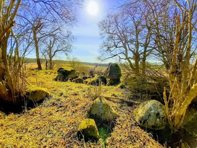 Holiday house Manor Lakeside Escape - Environment photo 26