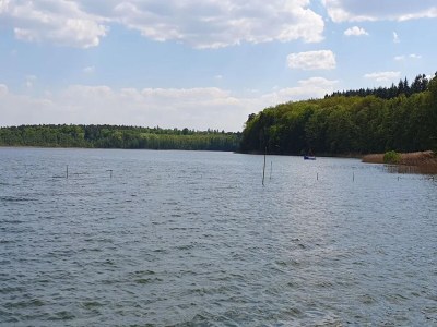 Holiday house Manor Lakeside Escape - Environment photo 27