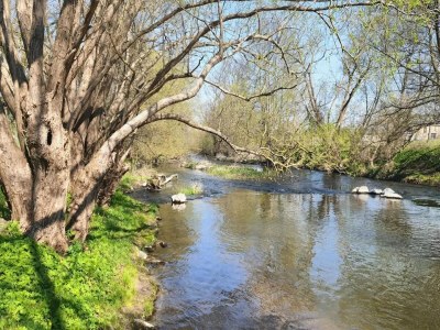 Holiday house Manor Lakeside Escape - Environment photo 28