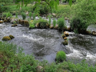 Holiday house Manor Lakeside Escape - Environment photo 29