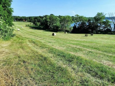 Holiday house Manor Lakeside Escape - Environment photo 30