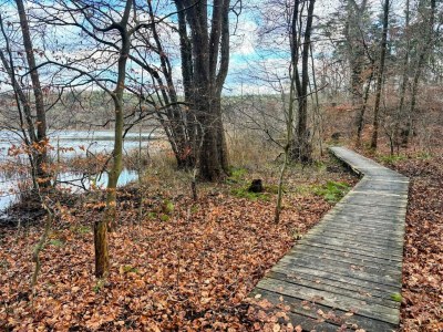 Holiday house Manor Lakeside Escape - Environment photo 32