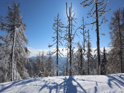 Holiday house House in Bad Kleinkirchheim by Ski Slope - Environment photo 7