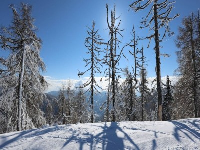 Holiday house House in Bad Kleinkirchheim by Ski Slope - Environment photo 14