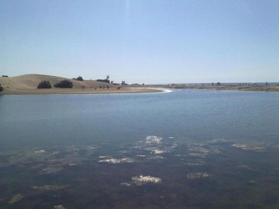 Holiday house Wohnung in Maspalomas nahe Strand - Environment photo 22
