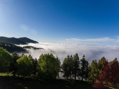 Holiday house Wohnung in Maspalomas nahe Strand - Environment photo 24