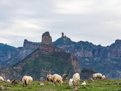 Holiday house Wohnung in Maspalomas nahe Strand - Environment photo 27