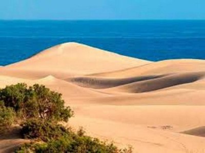 Holiday house Wohnung in Maspalomas nahe Strand - Environment photo 29