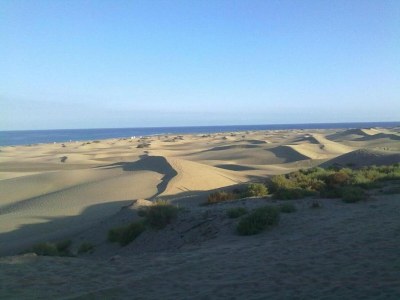 Holiday house Wohnung in Maspalomas nahe Strand - Environment photo 33