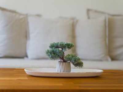 Bungalow Bungalow in Maspalomas near Golf Course - Outdoor photo 27