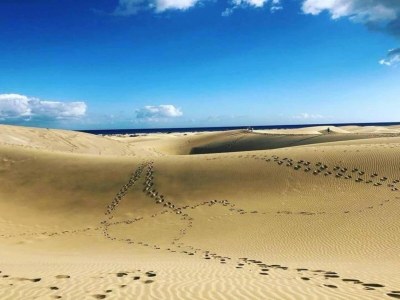 Apartment Wohnung auf Gran Canaria nahe Dünen Maspalomas - Environment photo 31