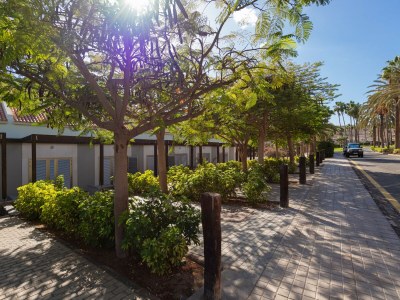 Holiday house Apartment in Pasito Blanco near Private Beach - Outdoor photo 10