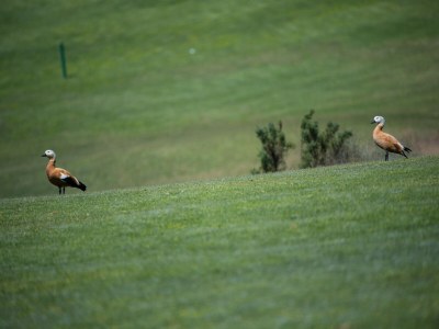 Chalet Chalet in Maspalomas with Heated Pool - Outdoor photo 40